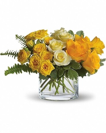 Standard size, 9 and a half inches height and 14 1/4 inches wide.