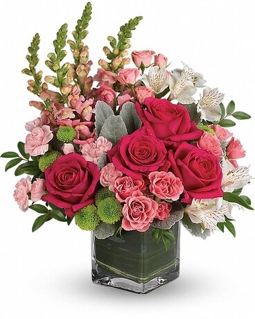 Deluxe size, 17 inches height and 14 and a half inches wide.