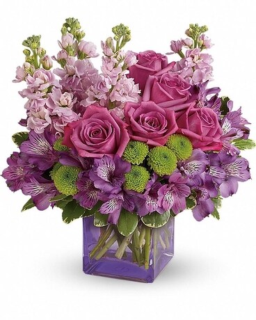 Deluxe size, 13 and a half inches height and 13 inches wide.