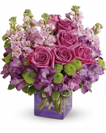 Premium size, 14 inches height and 13 inches wide.