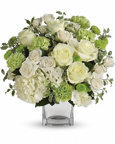 Premium size, 13 and a half inches height and 13 and a half inches wide.