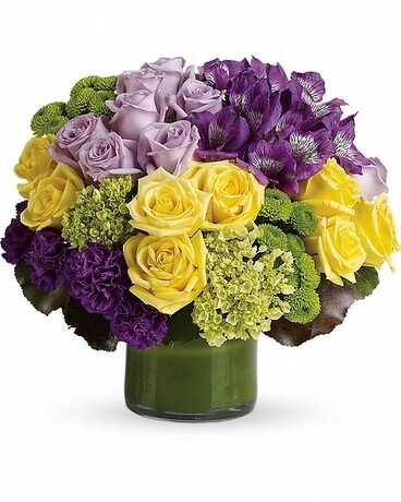 Premium size, 12 3/4 inches height and 14 inches wide.