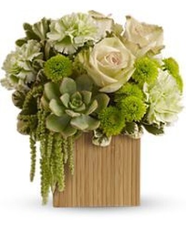 Standard size, 10.25 inches height and 9.75 inches wide.