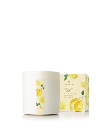 Lemon Leaf size, inches height and inches wide.