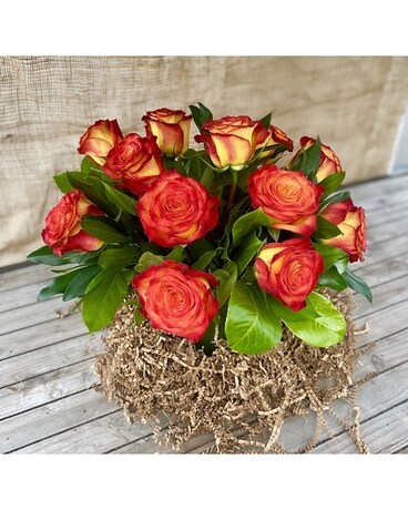 18 Roses size, inches height and inches wide.