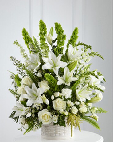 Premium size, inches height and inches wide.