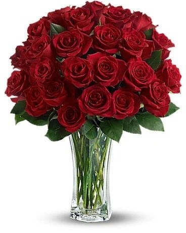 24 Red Roses size, inches height and inches wide.
