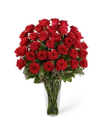 36 Red Roses size, inches height and inches wide.