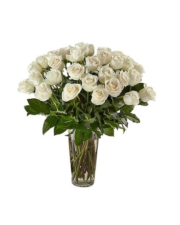 36 White Roses size, inches height and inches wide.