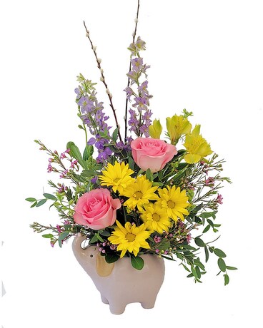 Deluxe (Shown) size, 20 inches height and 13 inches wide.