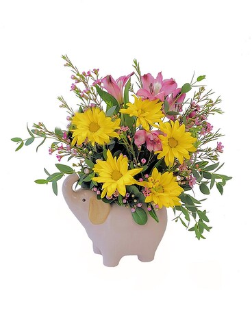 Standard size, 12 inches height and 11 inches wide.