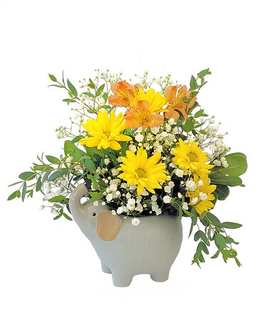Standard size, 12 inches height and 11 inches wide.