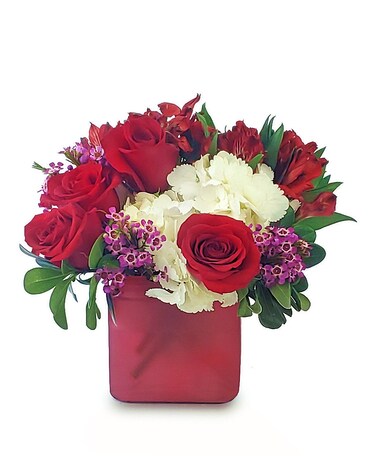 Deluxe size, 10 inches height and 11 inches wide.