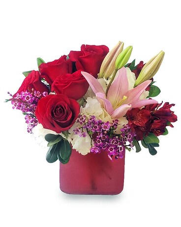 Premium size, 11 inches height and 13 inches wide.