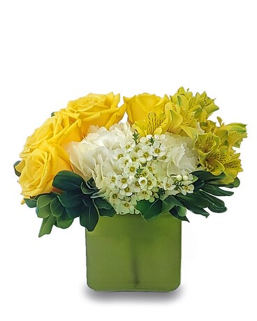 Deluxe size, 10 inches height and 11 inches wide.
