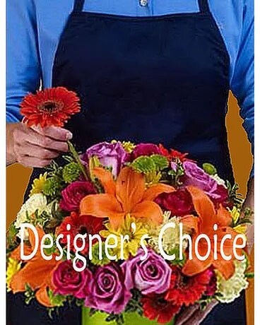 Premium Plus size, inches height and inches wide.