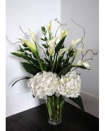 Premium size, inches height and inches wide.