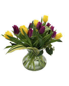 Mix Colors size, inches height and inches wide.