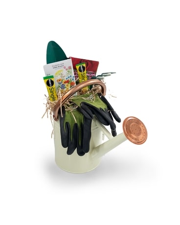 Watering Can Filled With Gardening Supplies size, inches height and inches wide.