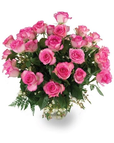 Pink size, inches height and inches wide.