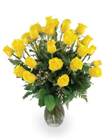 Yellow size, inches height and inches wide.