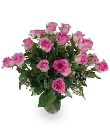 Pink size, inches height and inches wide.
