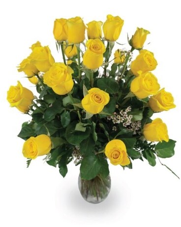 Yellow size, inches height and inches wide.