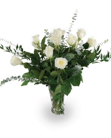 White 1 Dozen size, inches height and inches wide.