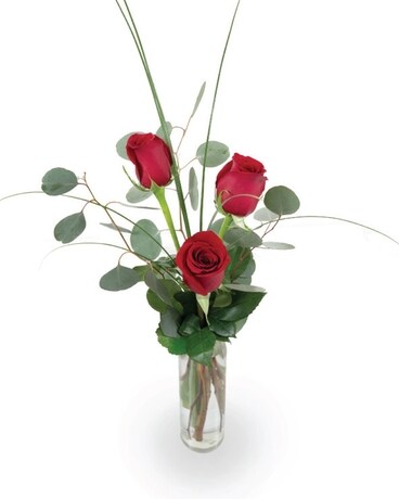 3 Roses size, inches height and inches wide.