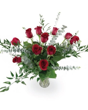 Red 3 Dozen size, inches height and inches wide.