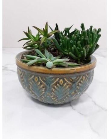 8" Container size, inches height and inches wide.