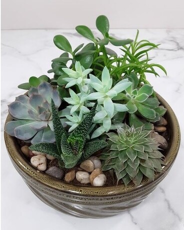 10" Container size, inches height and inches wide.