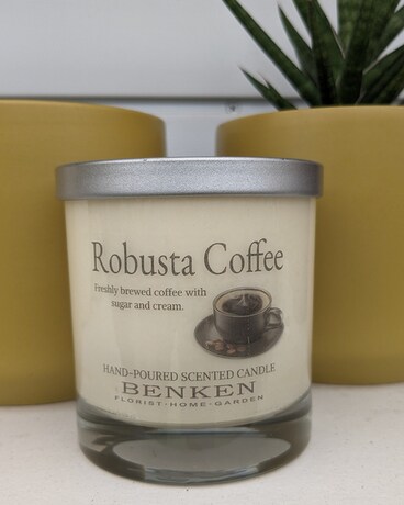 Robusta Coffee size, inches height and inches wide.