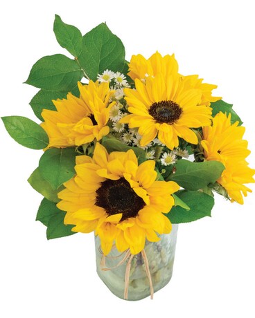 Standard - 3 Sunflowers size, inches height and inches wide.