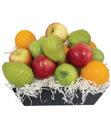 Deluxe size, inches height and inches wide.