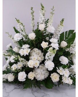 Premium size, inches height and inches wide.