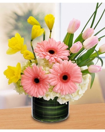 Standard size, 17 inches height and 13 inches wide.