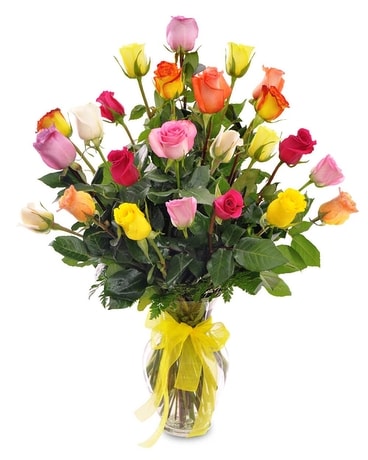 2 Dozen size, inches height and inches wide.