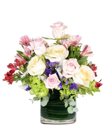 Standard size, 10 inches height and 9 inches wide.