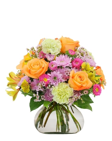 Standard size, 10 inches height and 10 inches wide.