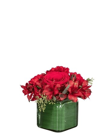 Standard size, 8 inches height and 8 inches wide.