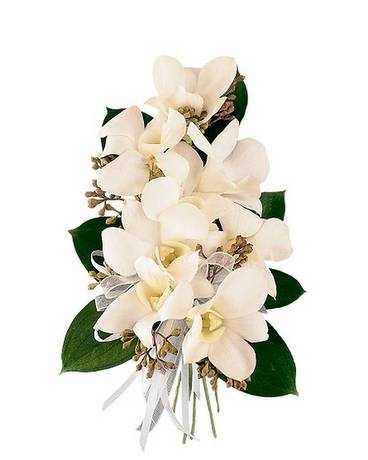 Standard size, 8 inches height and 4 inches wide.