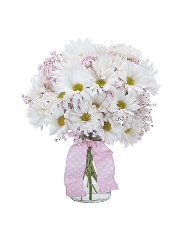 Standard size, 9 inches height and 5 inches wide.