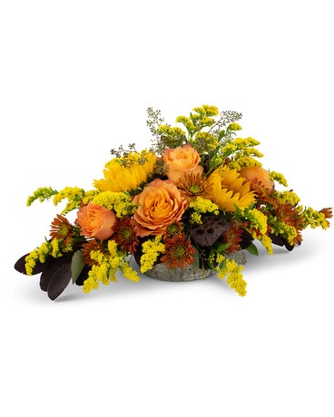 Standard size, 8 inches height and 14 inches wide.