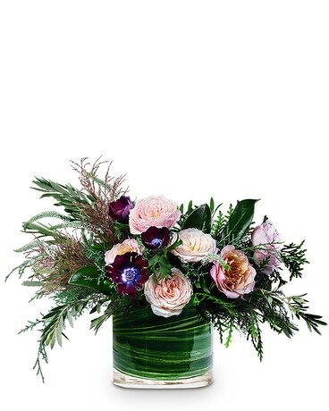 Premium size, 15.5 inches height and 20 inches wide.