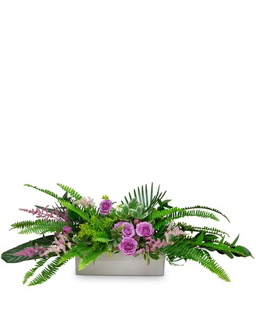 Standard size, 11.5 inches height and 32 inches wide.