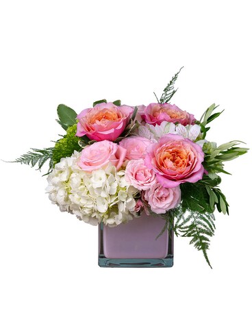 Premium size, 10 inches height and 13 inches wide.