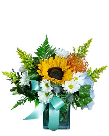 Premium size, 13 inches height and 12 inches wide.