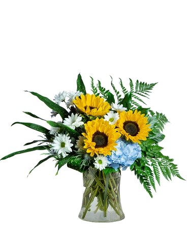 Deluxe size, 18 inches height and 23 inches wide.