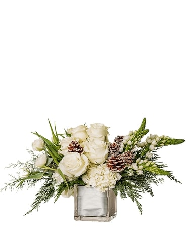 Premium size, 13 inches height and 26 inches wide.